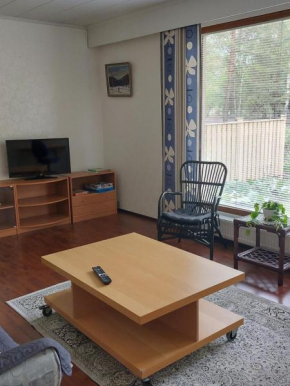 Apartment with sauna in Harjavalta, free WIFI in Harjavalta